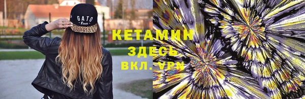 крисы Абаза