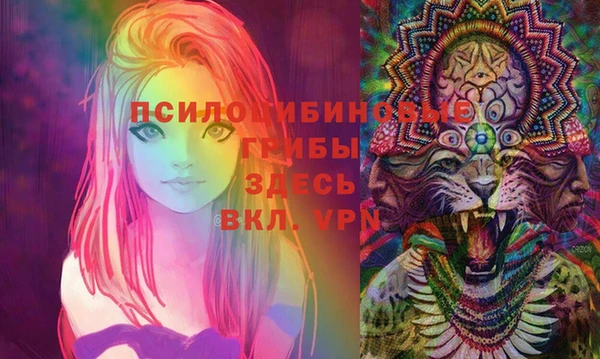 крисы Абаза